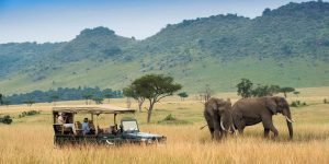 Kenya safaris from Nairobi