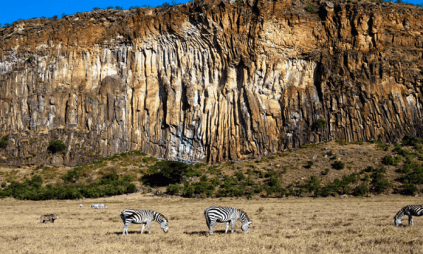 Hell’s Gate and Lake Naivasha Day Trip from Nairobi