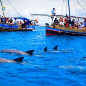 Wasini Island and Kisite Mpunguti Marine Park