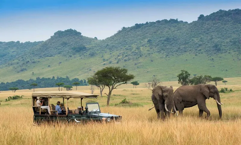 3 Days Masai Mara National Reserve fly-in safari - Africa Bed of Roses Safaris