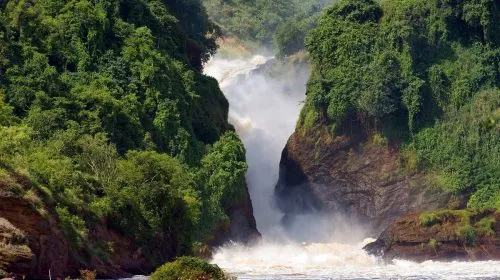 Uganda Murchison Falls National Park - Africa Bed of Roses Safaris