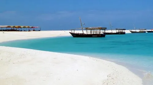 Zanzibar Prison Island Tour - Africa Bed of Roses Safaris