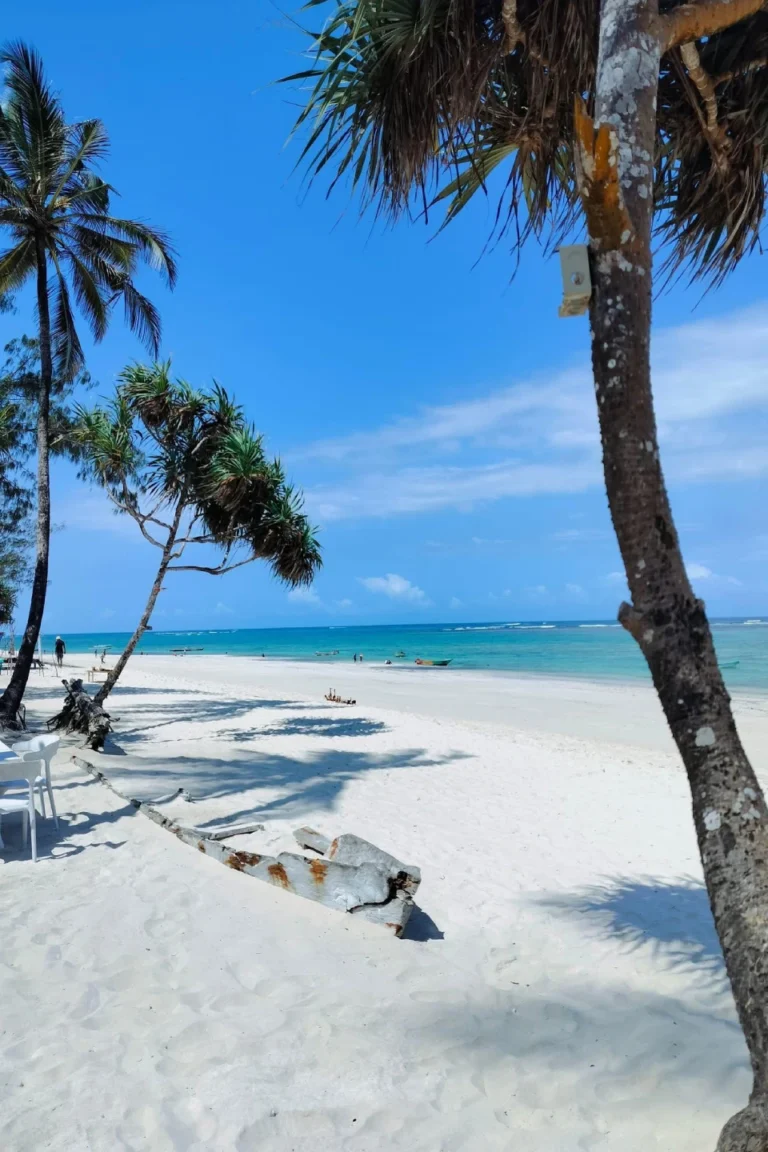 Diani Beach Attractions