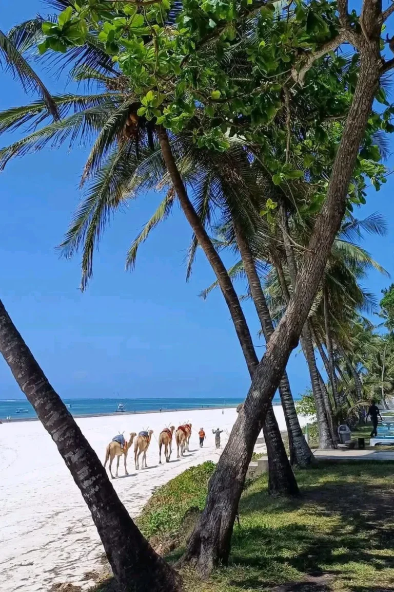 Diani Beach Attractions