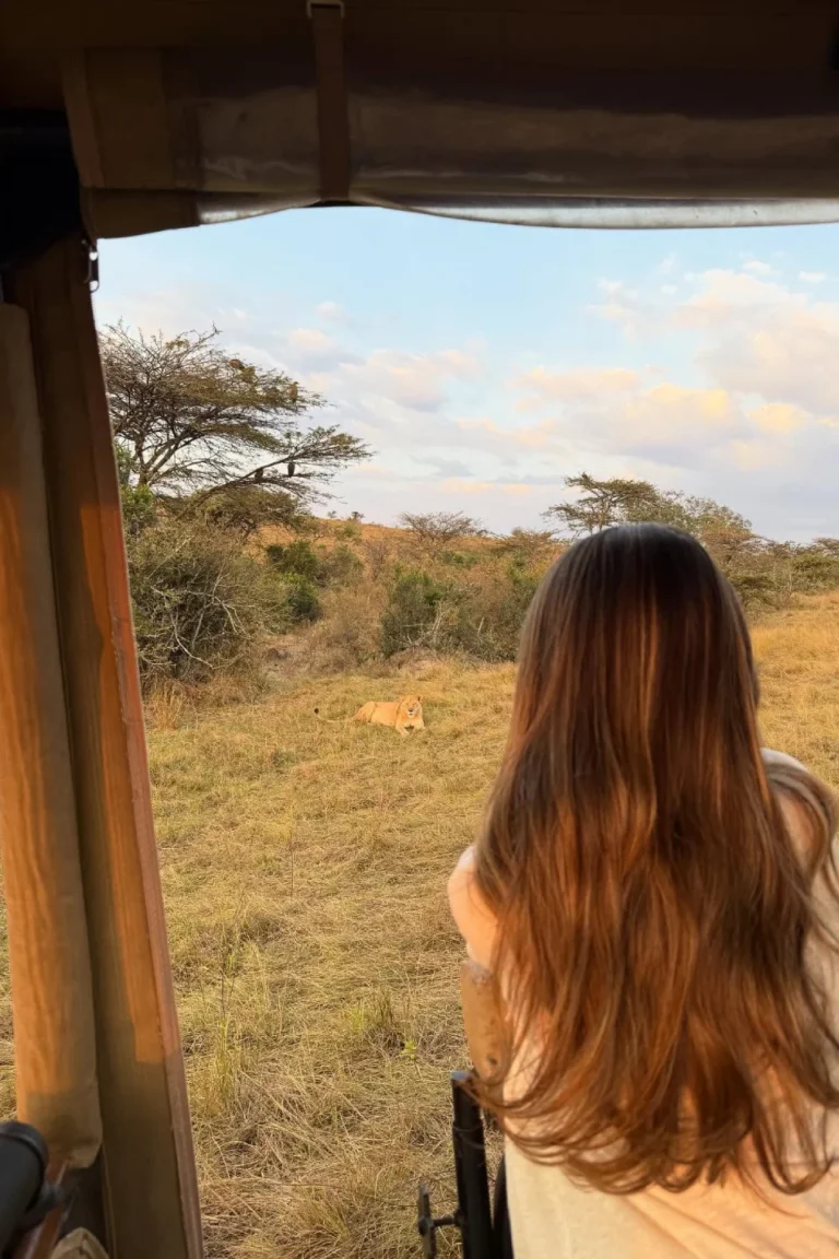 Serengeti Wildlife Viewing