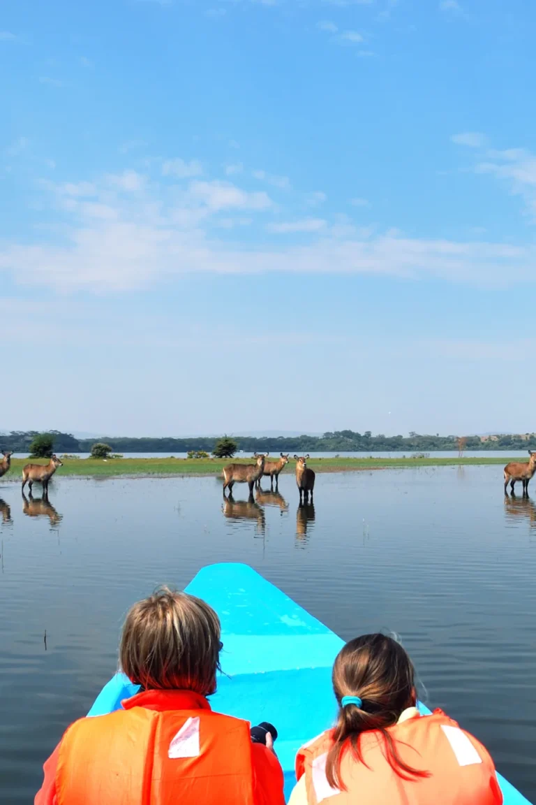 Lake Naivasha Attractions