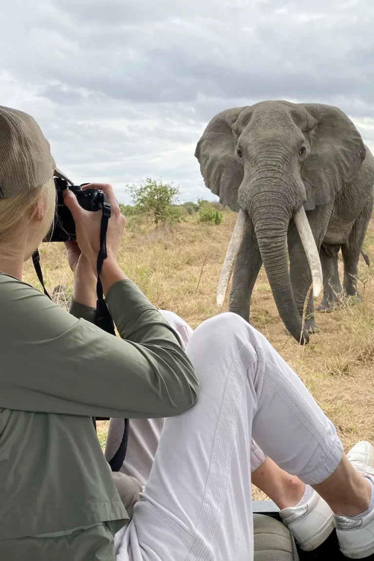 Wildlife Viewing