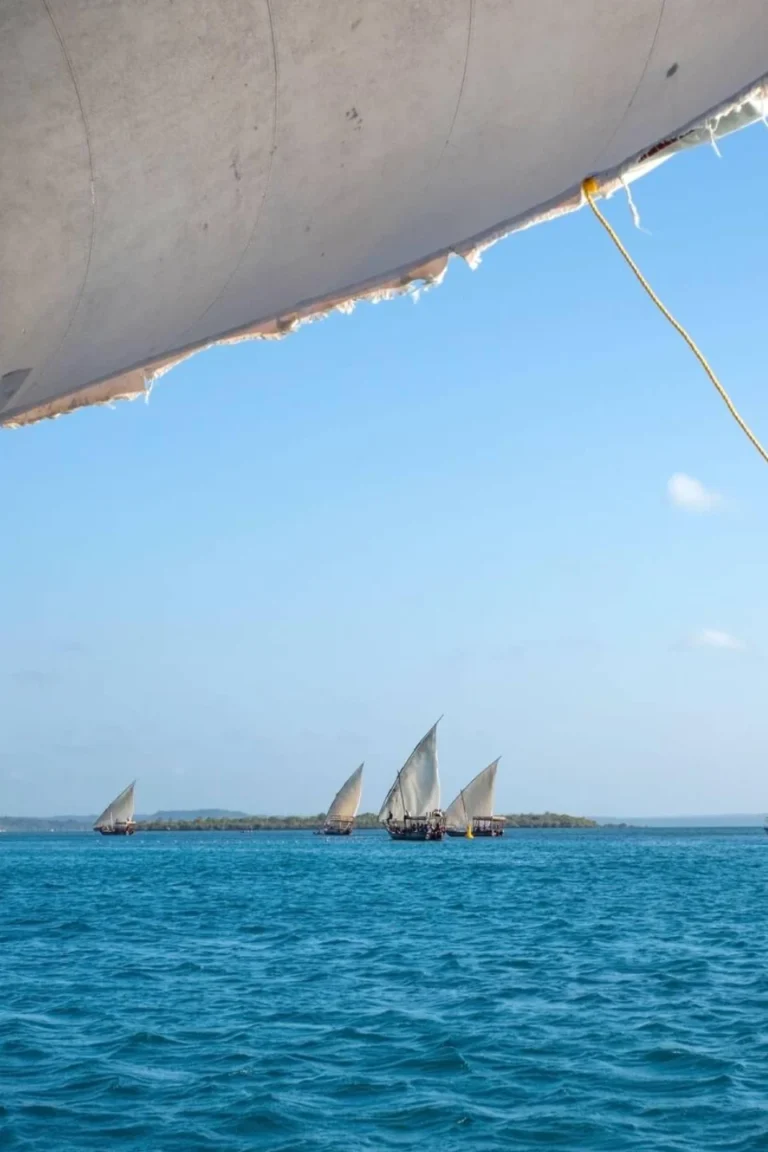Dhow Cruise