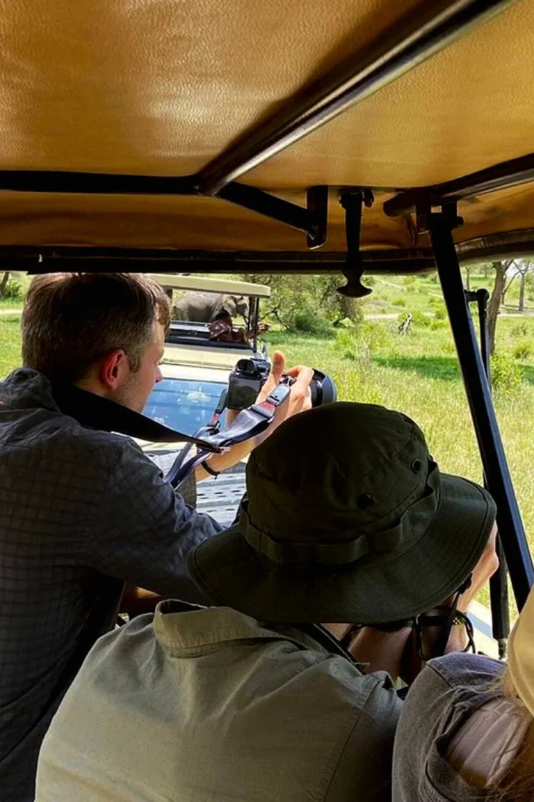 Ngorongoro Safari
