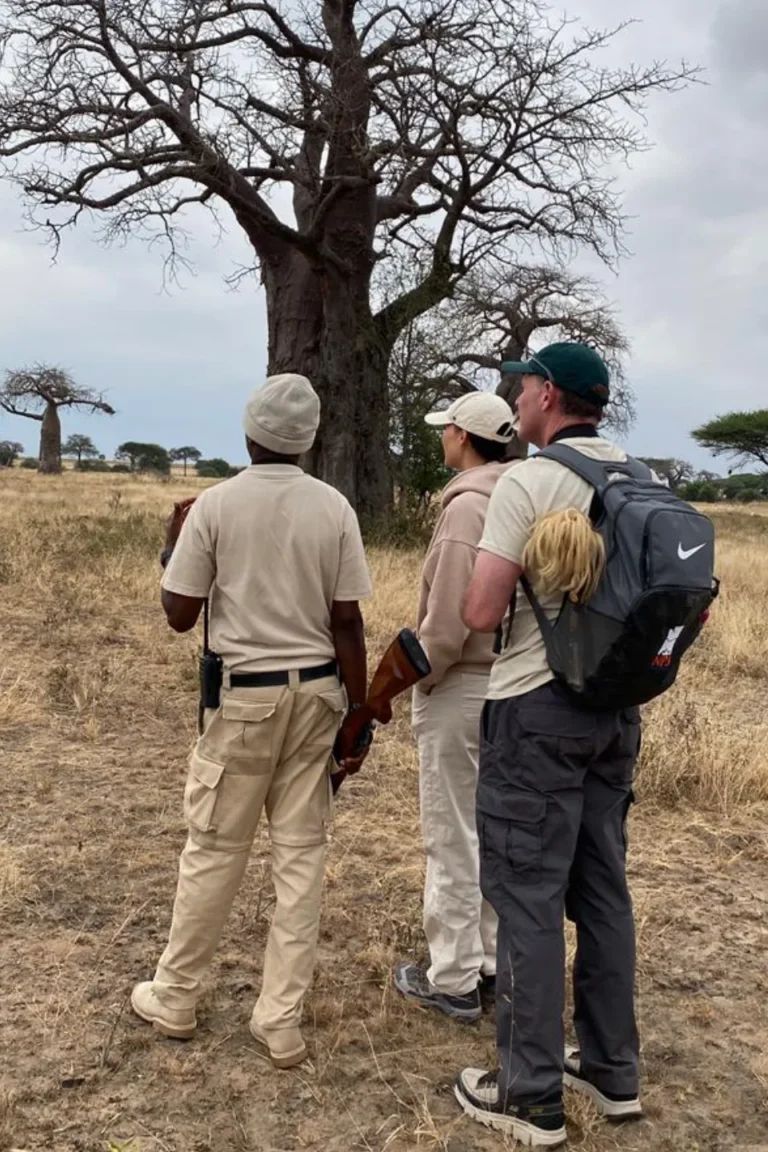 Tarangire Walking Safari