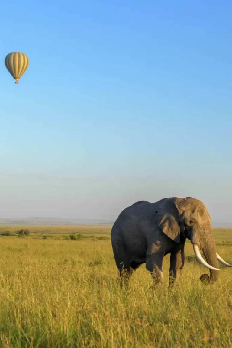Serengeti Attractions