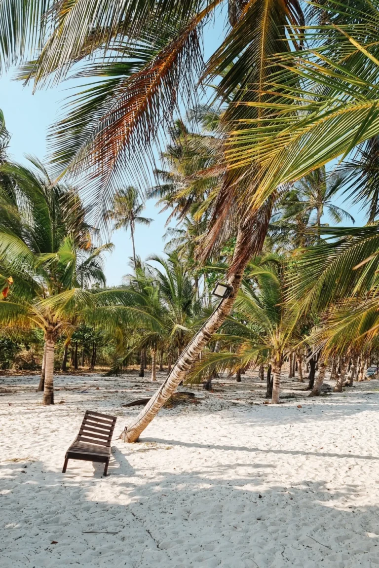 Diani Beach Attractions