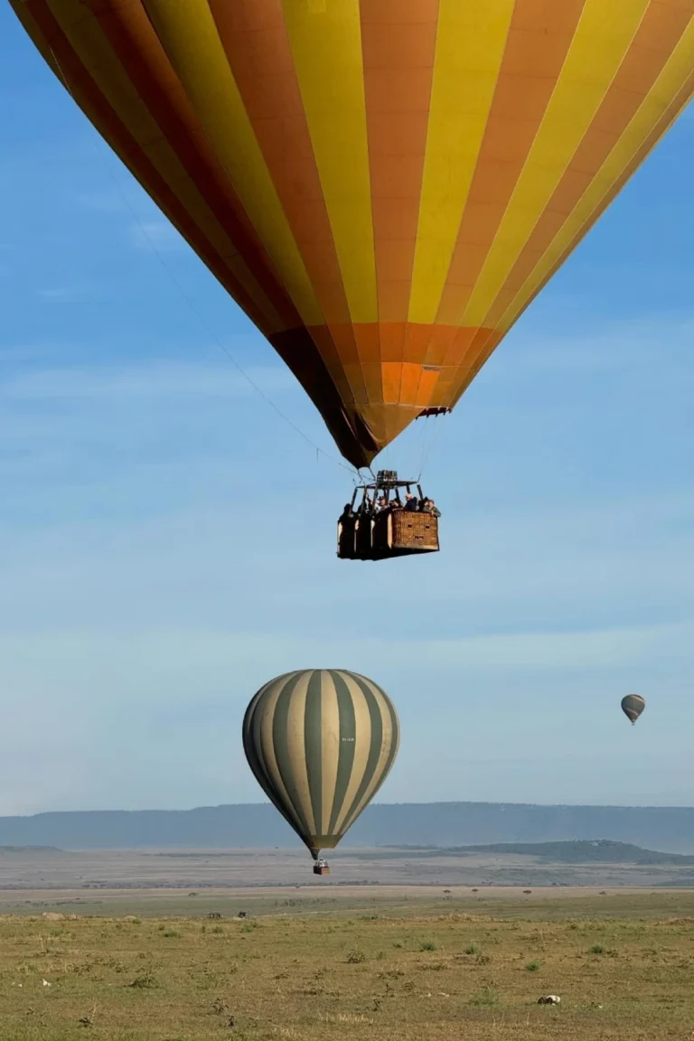 Balloon Safari