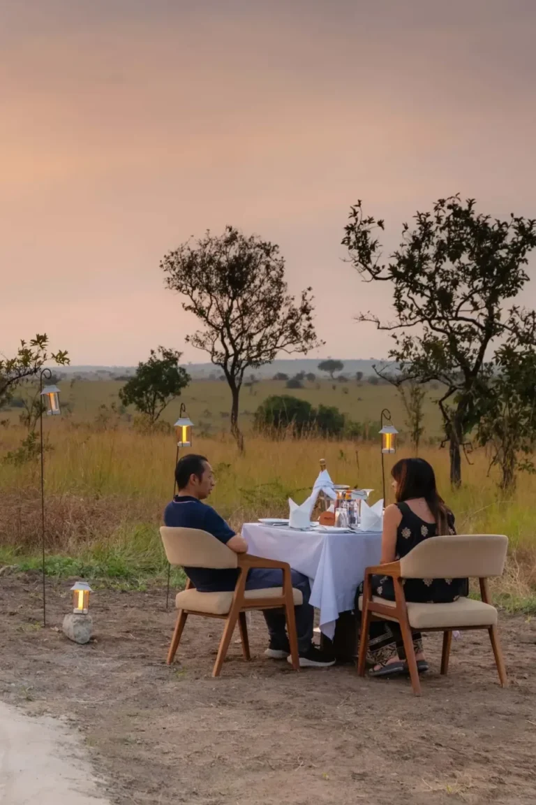 Bush Breakfast