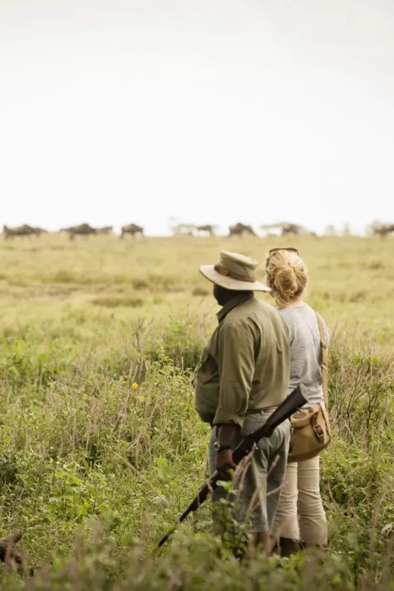 Walking Safari