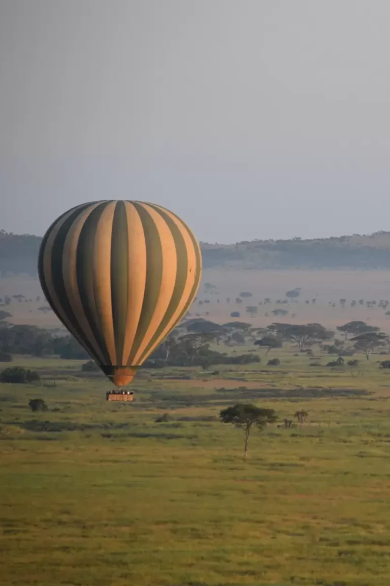 Hot Air Balloon Safari