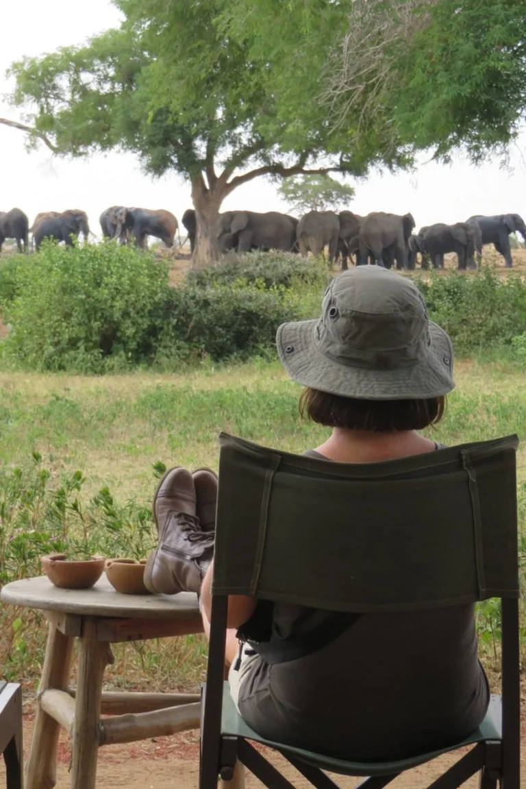 Samburu Wildlife Watching
