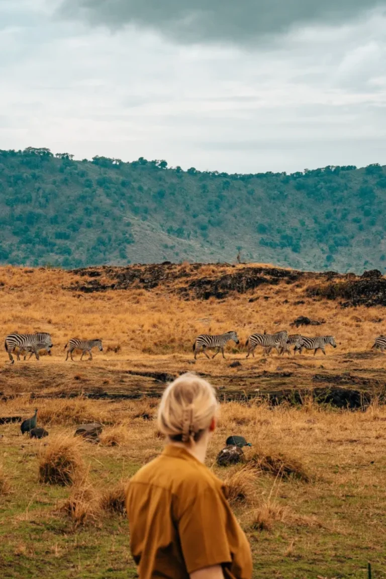Wild life Viewing