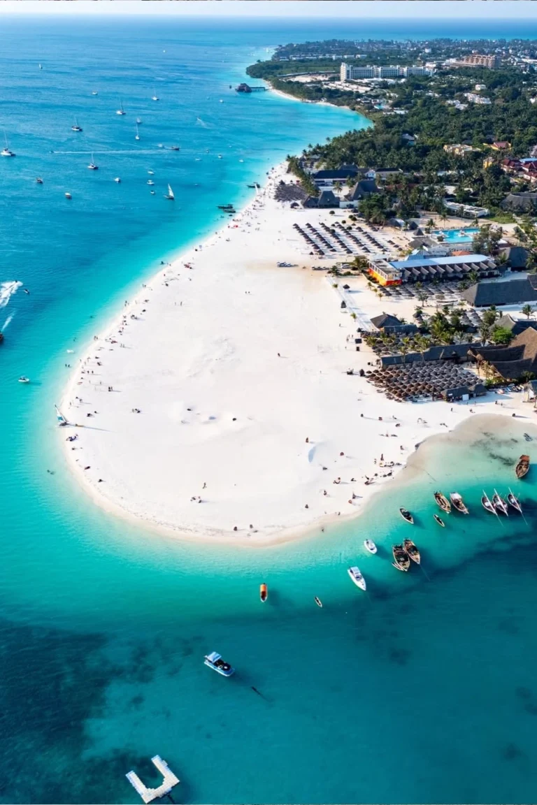 Zanzibar Beach View