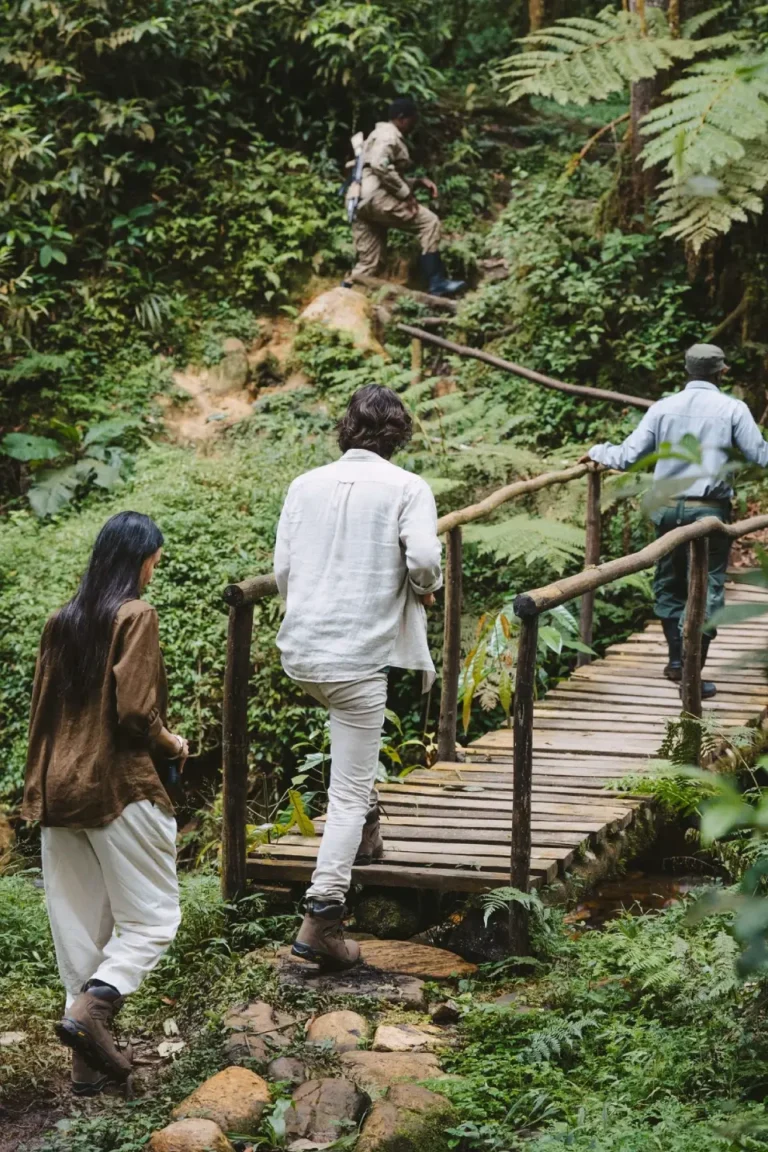 Walking Safari