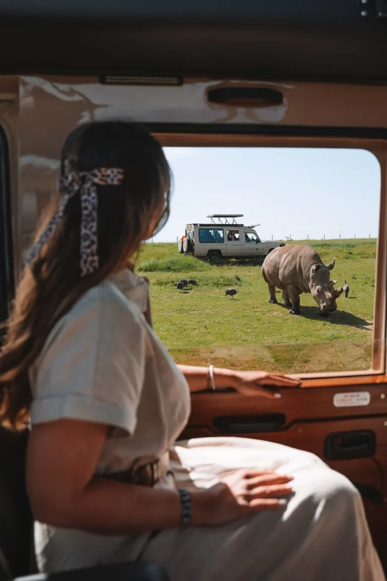 Ol Pejeta Game Drive