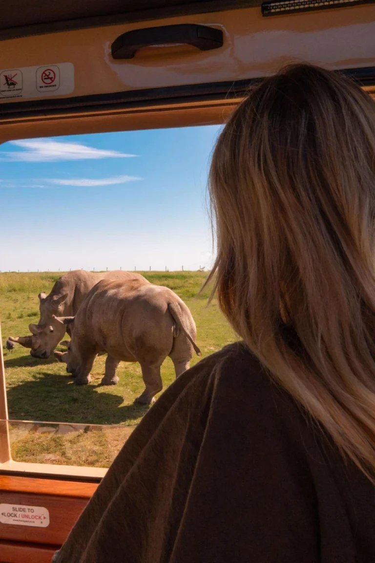 Ol Pejeta Game Drive