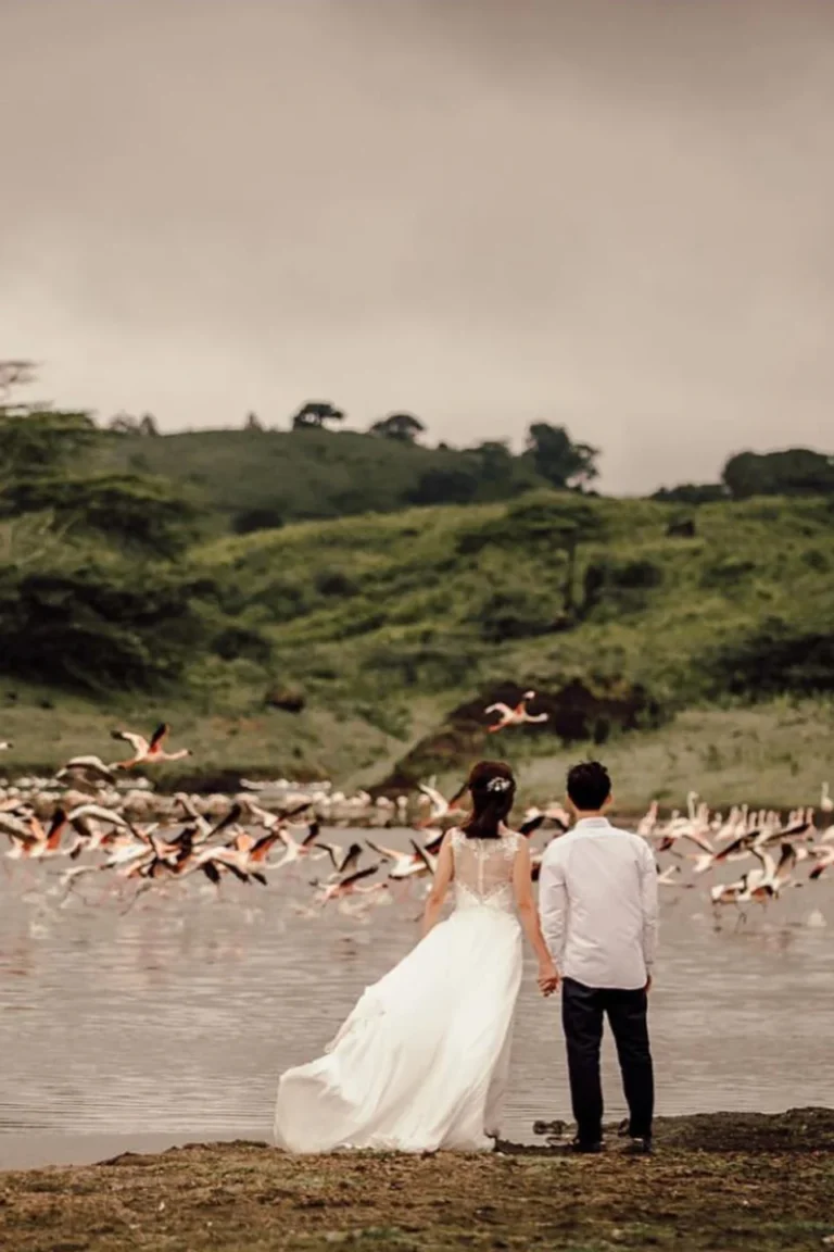 Honeymoon Couples
