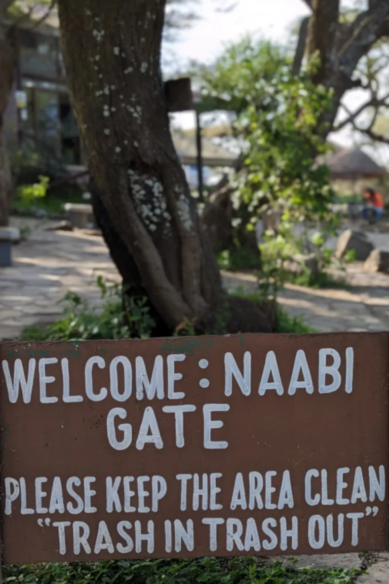 Naabi Gate