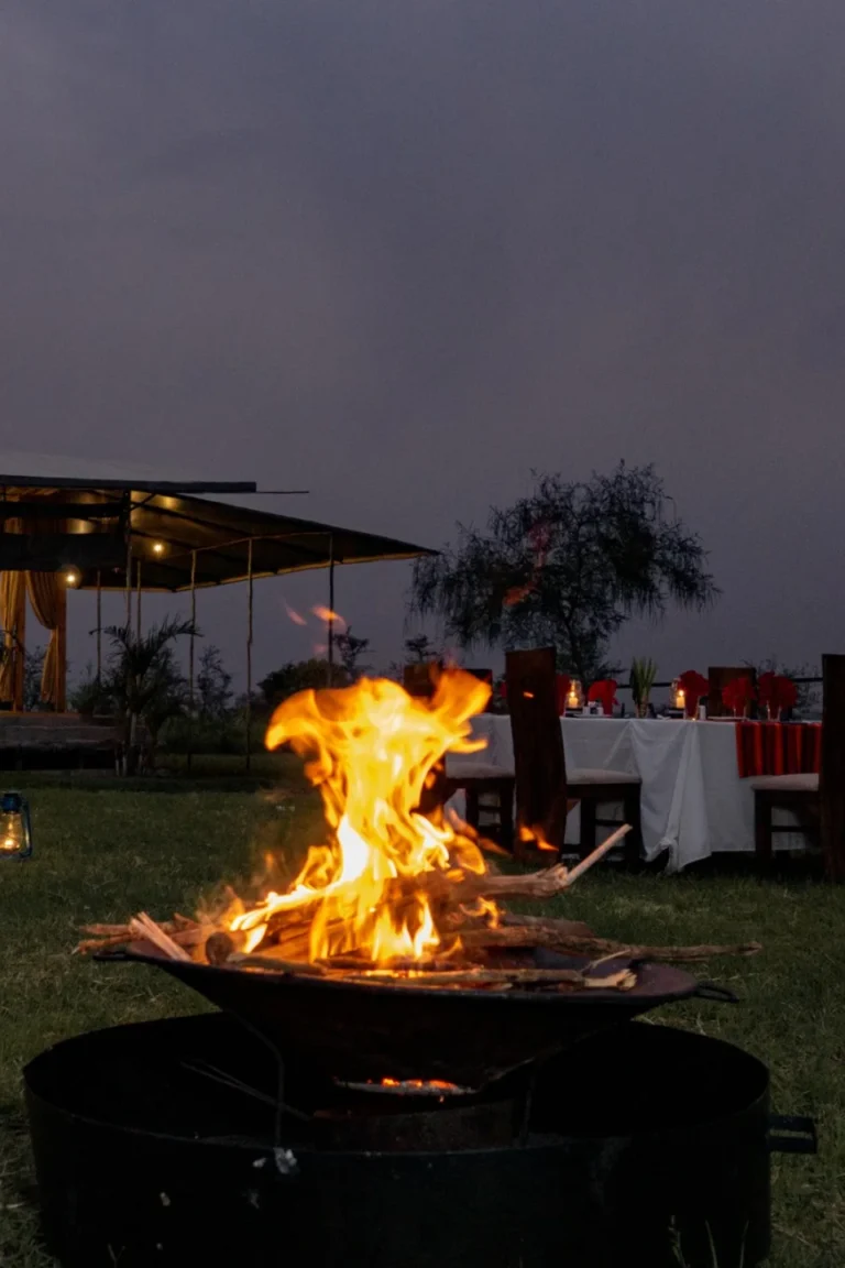 Bonefire