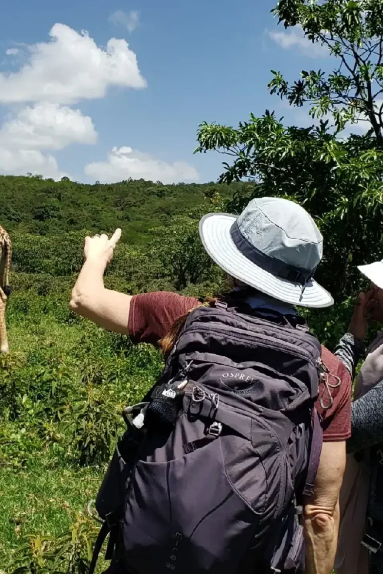 Walking Safari