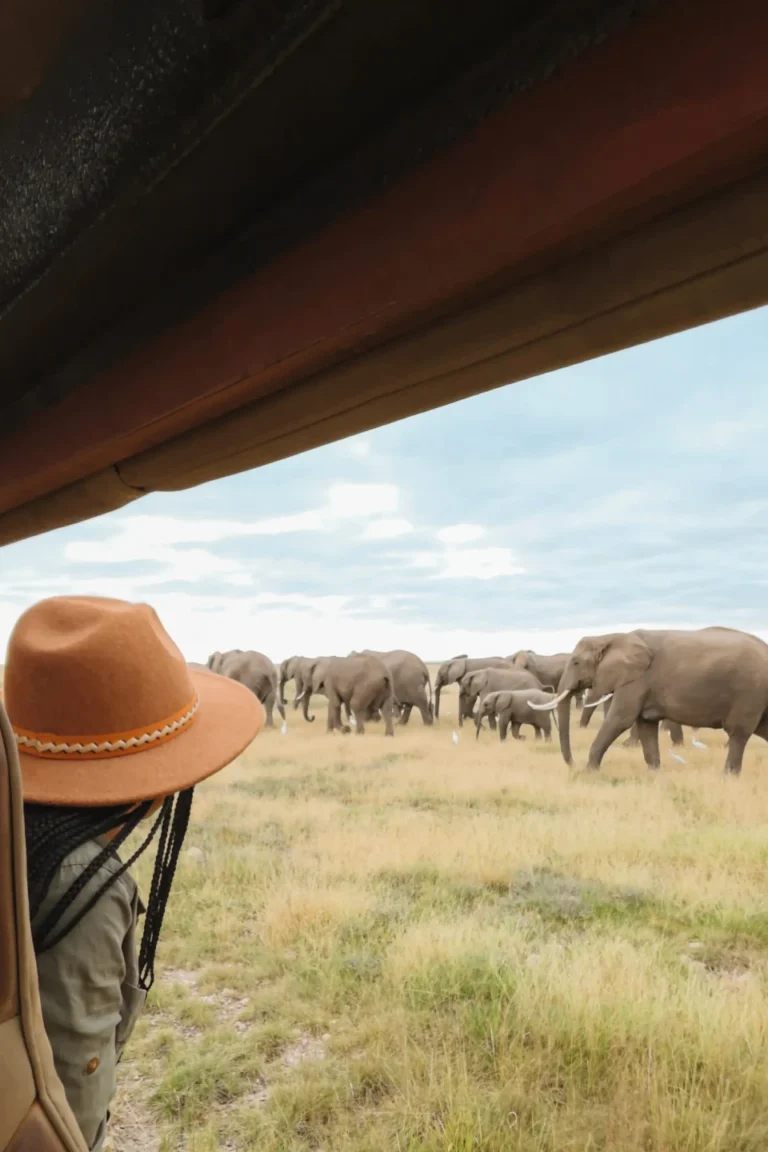 Game Drives