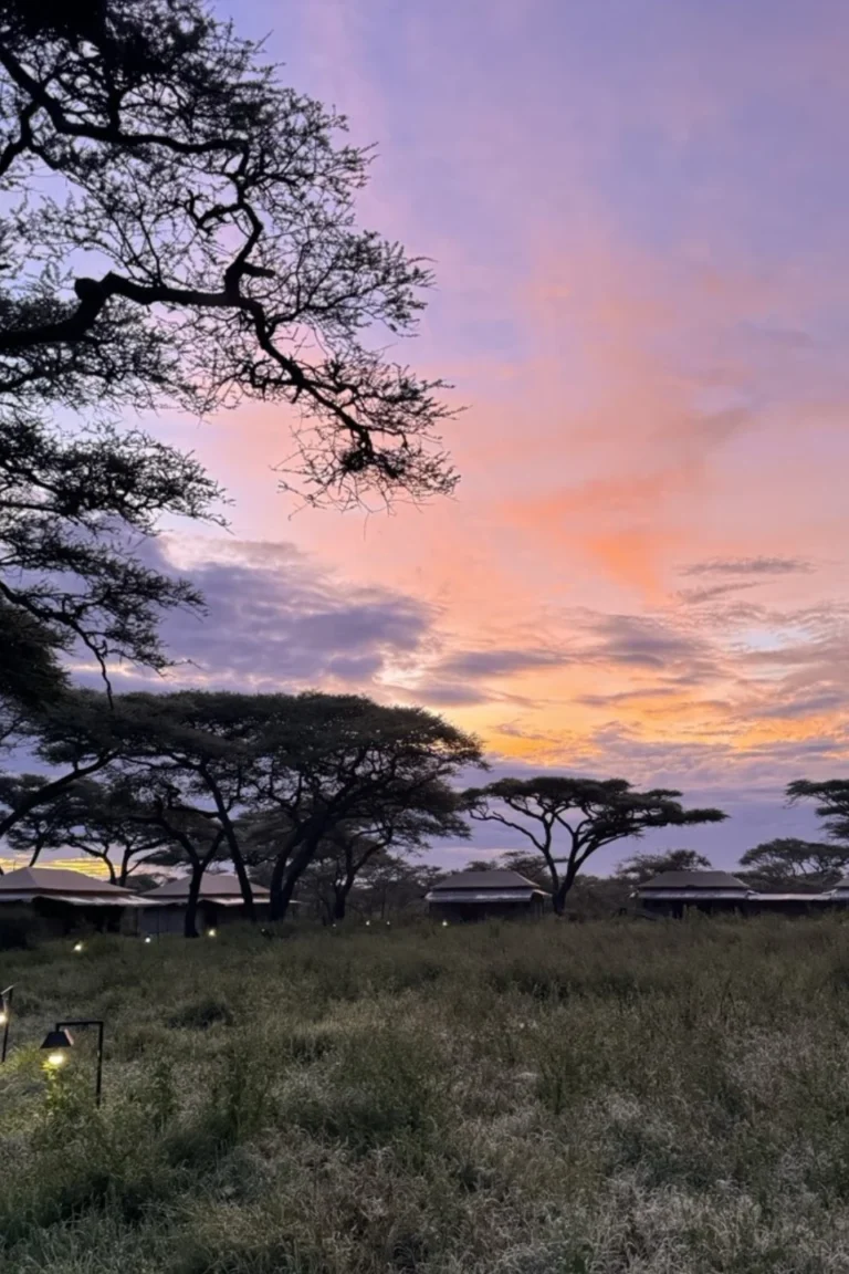 Serengeti Attractions