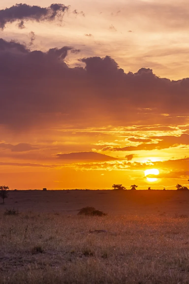 Tarangire Attractions