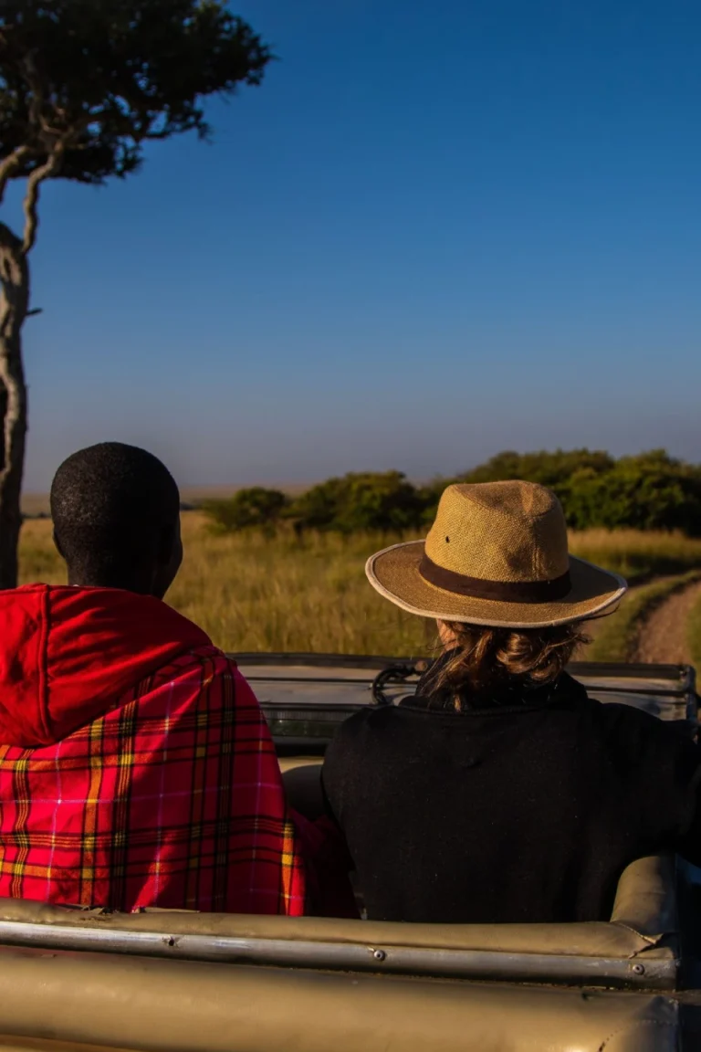 Game Drives