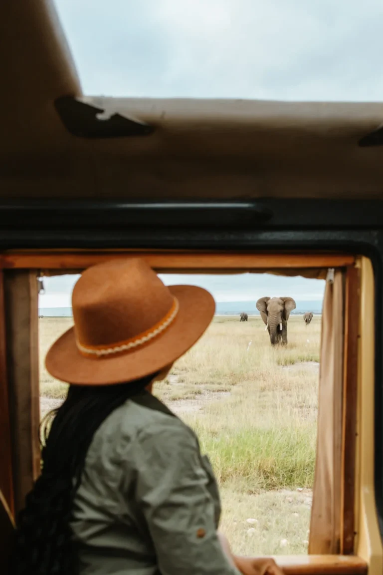 Game Drives