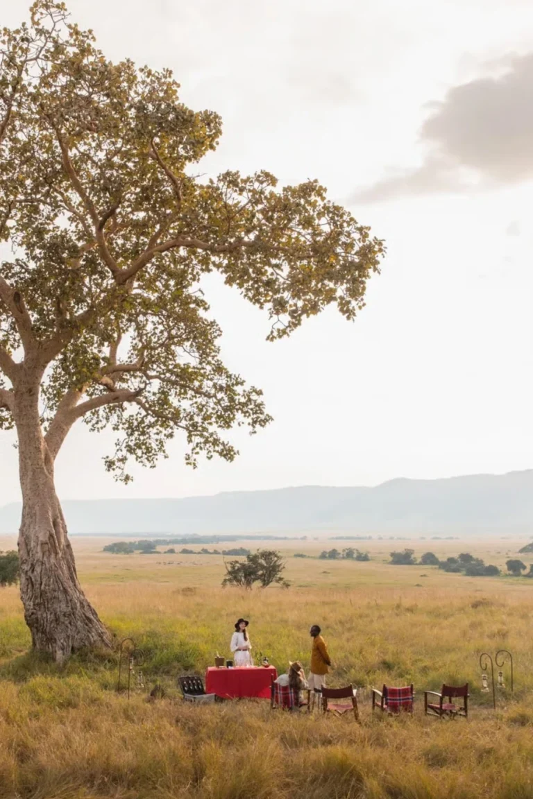 Masai Mara Honeymoon Safaris