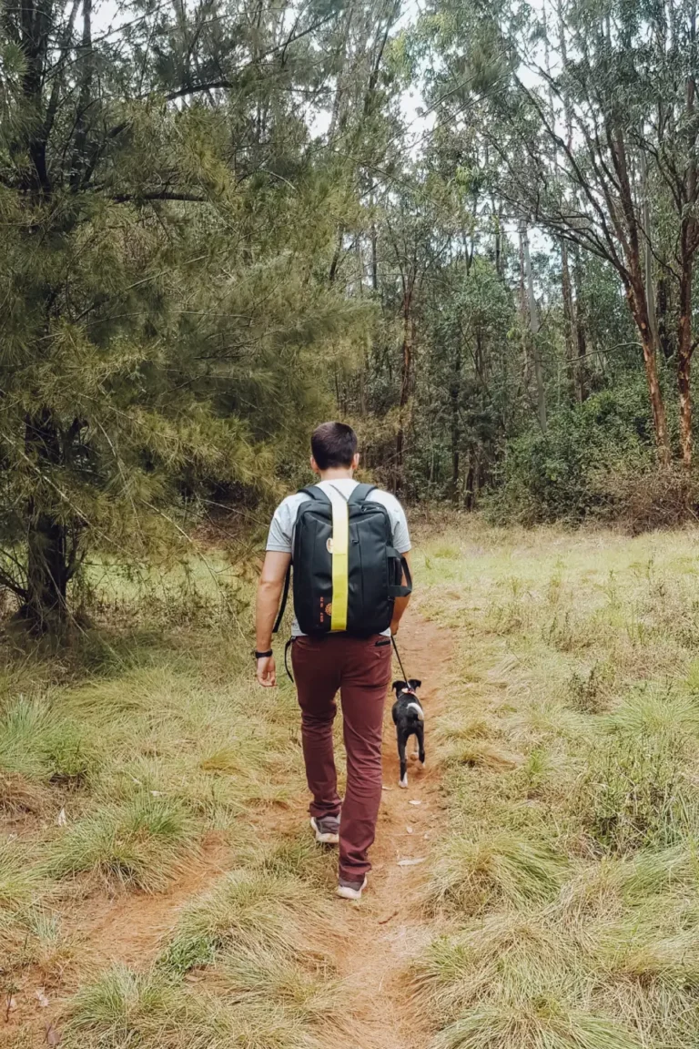 Walking Safari