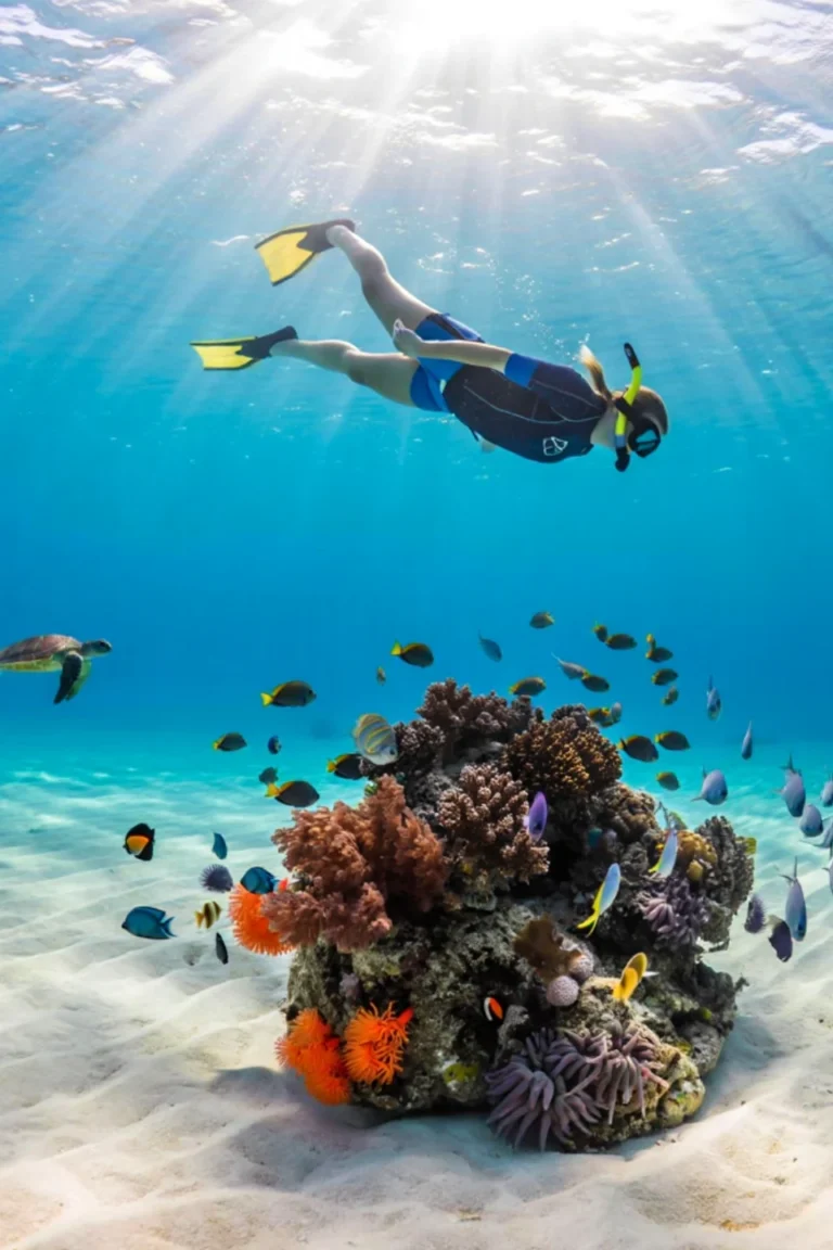 Mnemba Atoll Snorkel Excursion