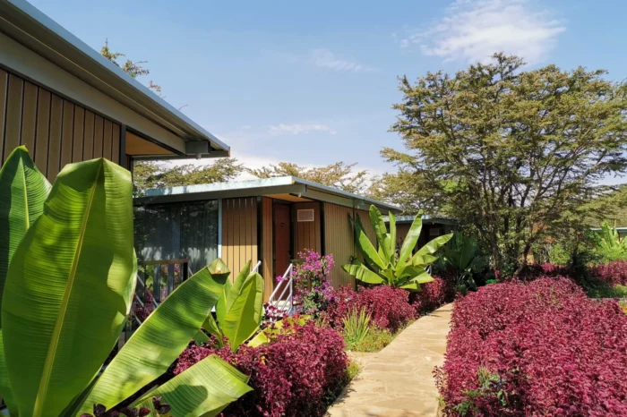 Jambo Mara Safari Lodge