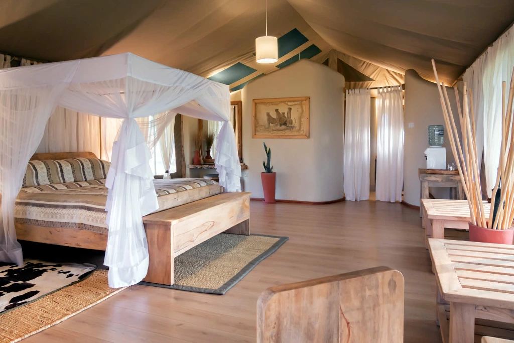 Luxury Bed Room