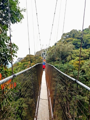 Nyungwe