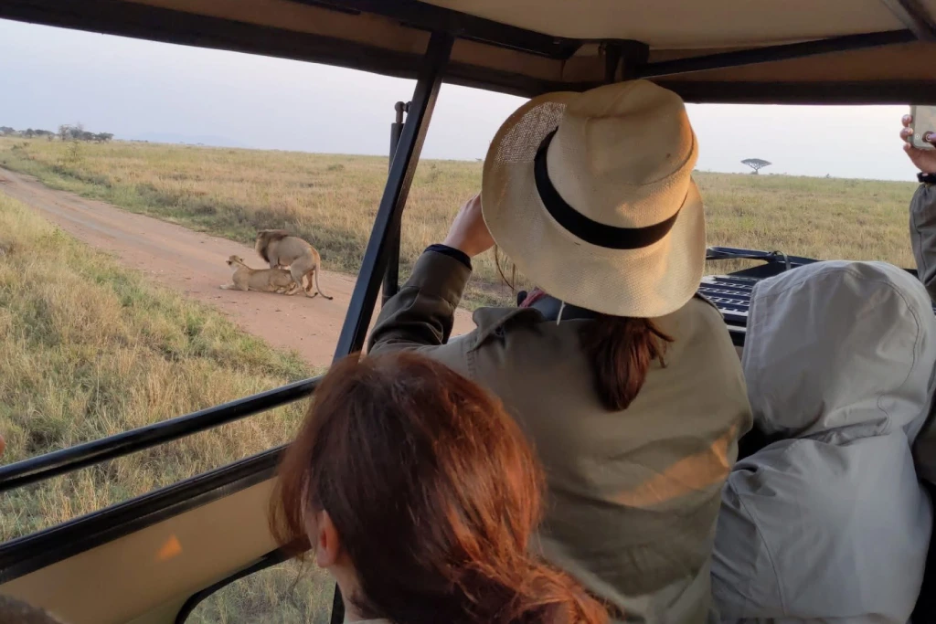 Tanzania Safari Cost