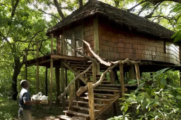 andBeyond Lake Manyara Tree Lodge
