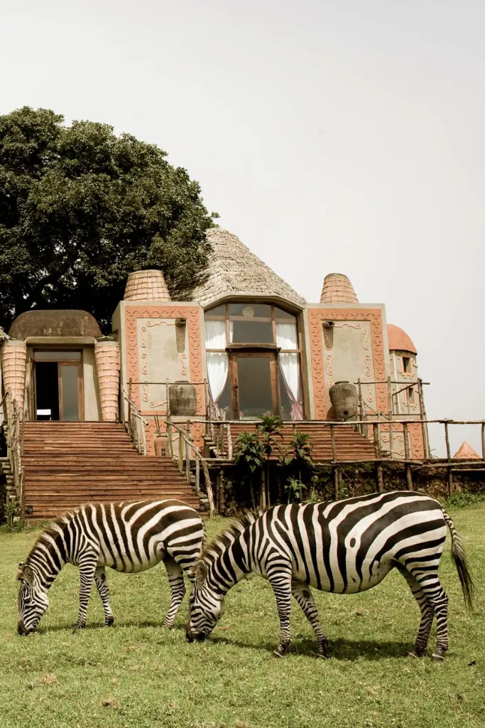 andBeyond Ngorongoro Crater Lodge Wildlife View