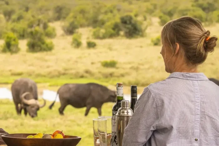 Asilia Ol Pejeta Bush Camp