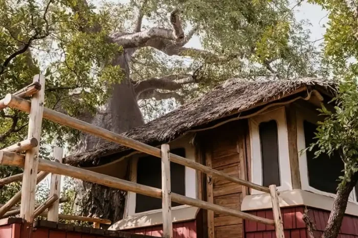 Elewana Tarangire Treetops