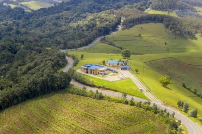 Gishwati Lodge