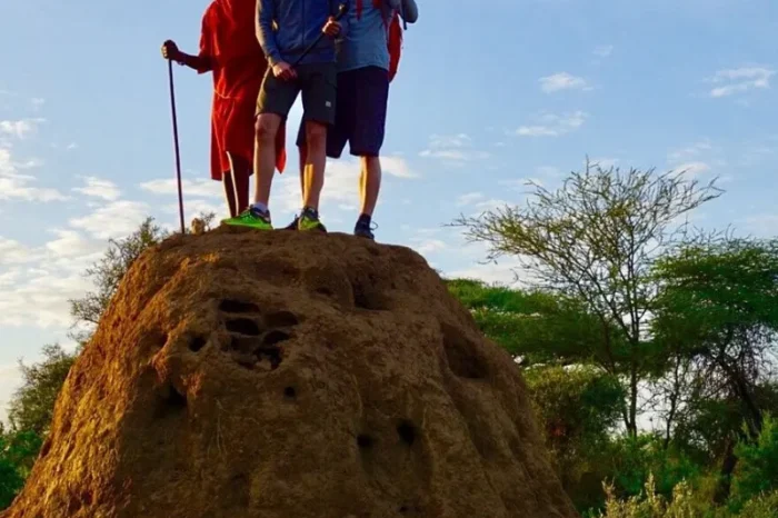 Kibo Safari Camp