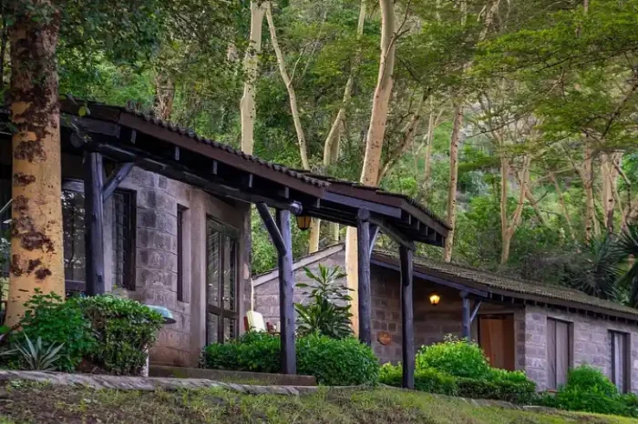 Kibo Safari Camp