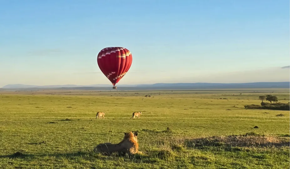 Hot Air Balloon Safari 